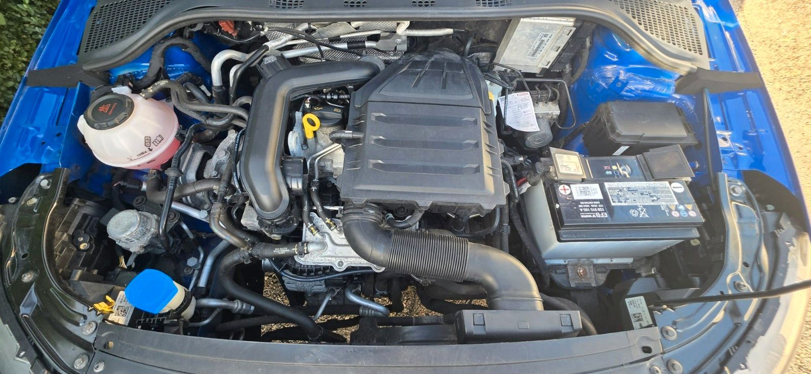 Rapid Spaceback Clever