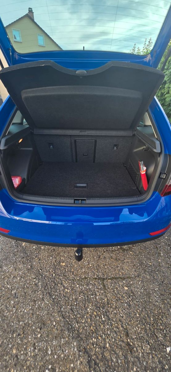 Rapid Spaceback Clever